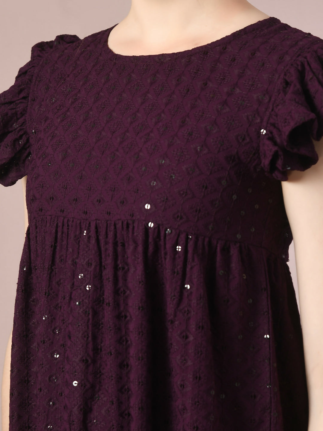 Myshka Women's Violet Embroidered Cotton Round Neck A-Line Party Dress