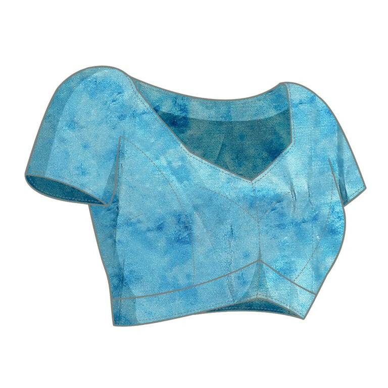 Sky Blue Organza Crepe Printed Stone Work Saree - Norita Saumya