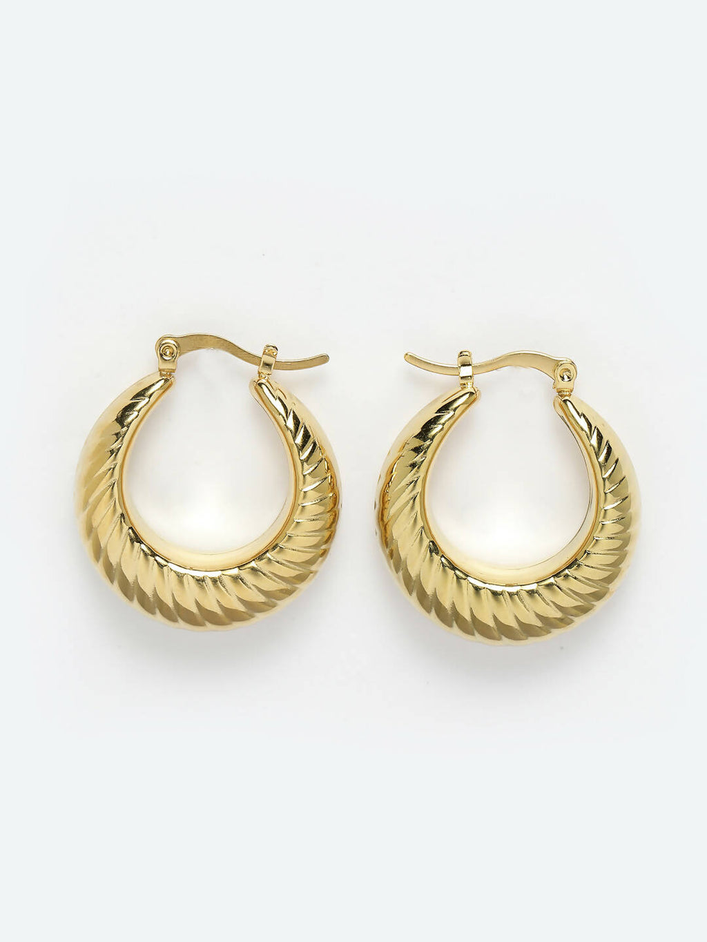 NVR Women Gold Circular Hoop Earrings