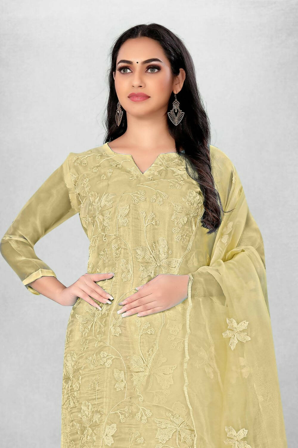 Beige Heavy Organza Silk Embroidered Unstitched Dress Material - Amara