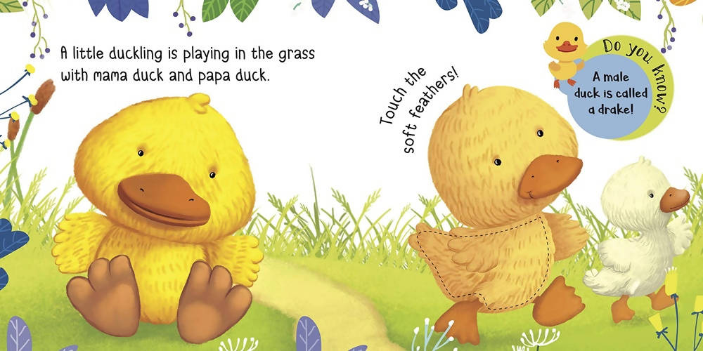 Om Touch And Feel Baby Animals Book