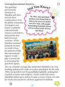 Dreamland Publications Nelson Mandela Icons of Inspiration Illustrated Biography For Kids