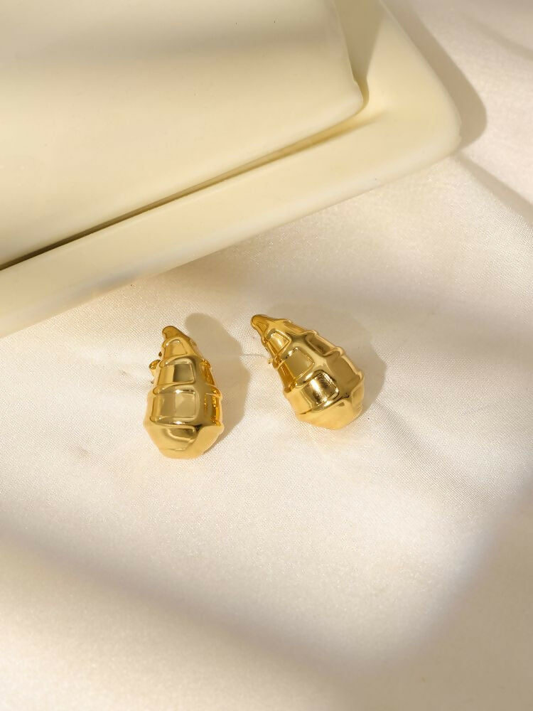 Golden Drop Earrings - Ruby Raang