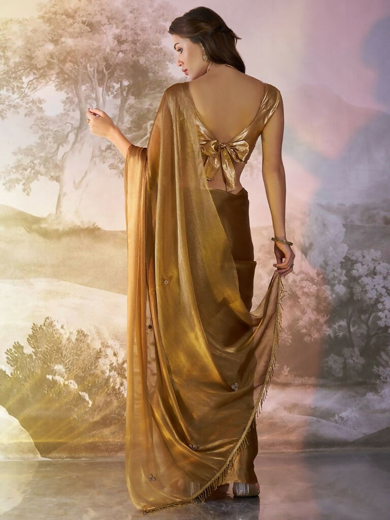Brown Burberry Organza Solid Fancy Designer Saree - Nafisa