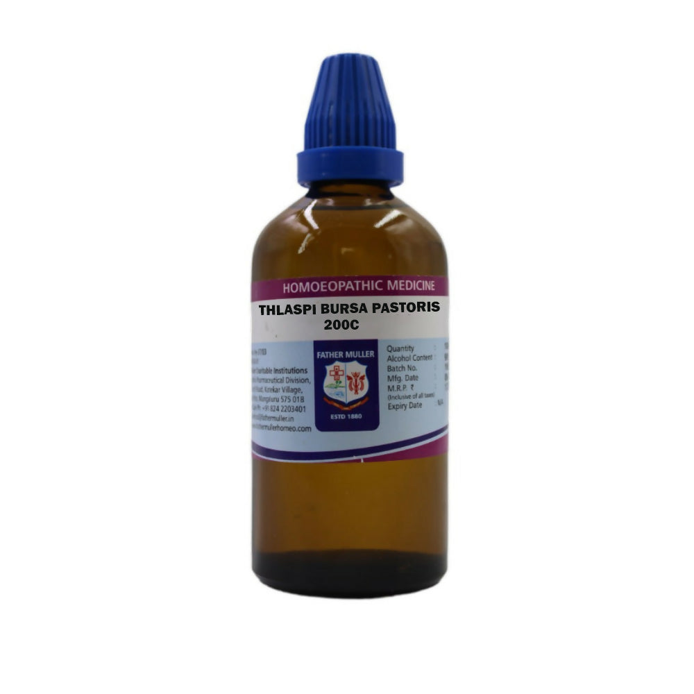 Father Muller Thlaspi Bursa Pastoris Dilution