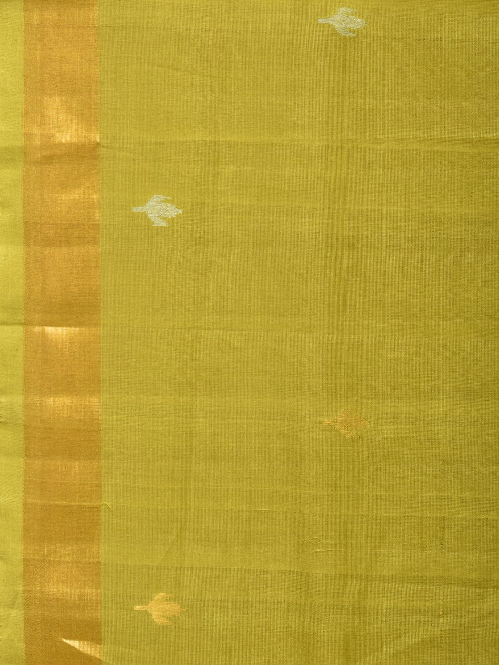 Olive Uppada Cotton Handloom Saree with Jamdani Pallu Design - Global Threads