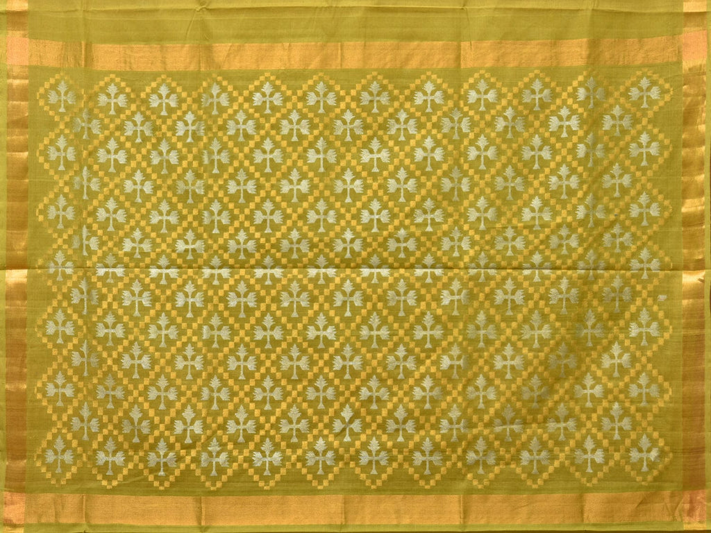 Olive Uppada Cotton Handloom Saree with Jamdani Pallu Design - Global Threads