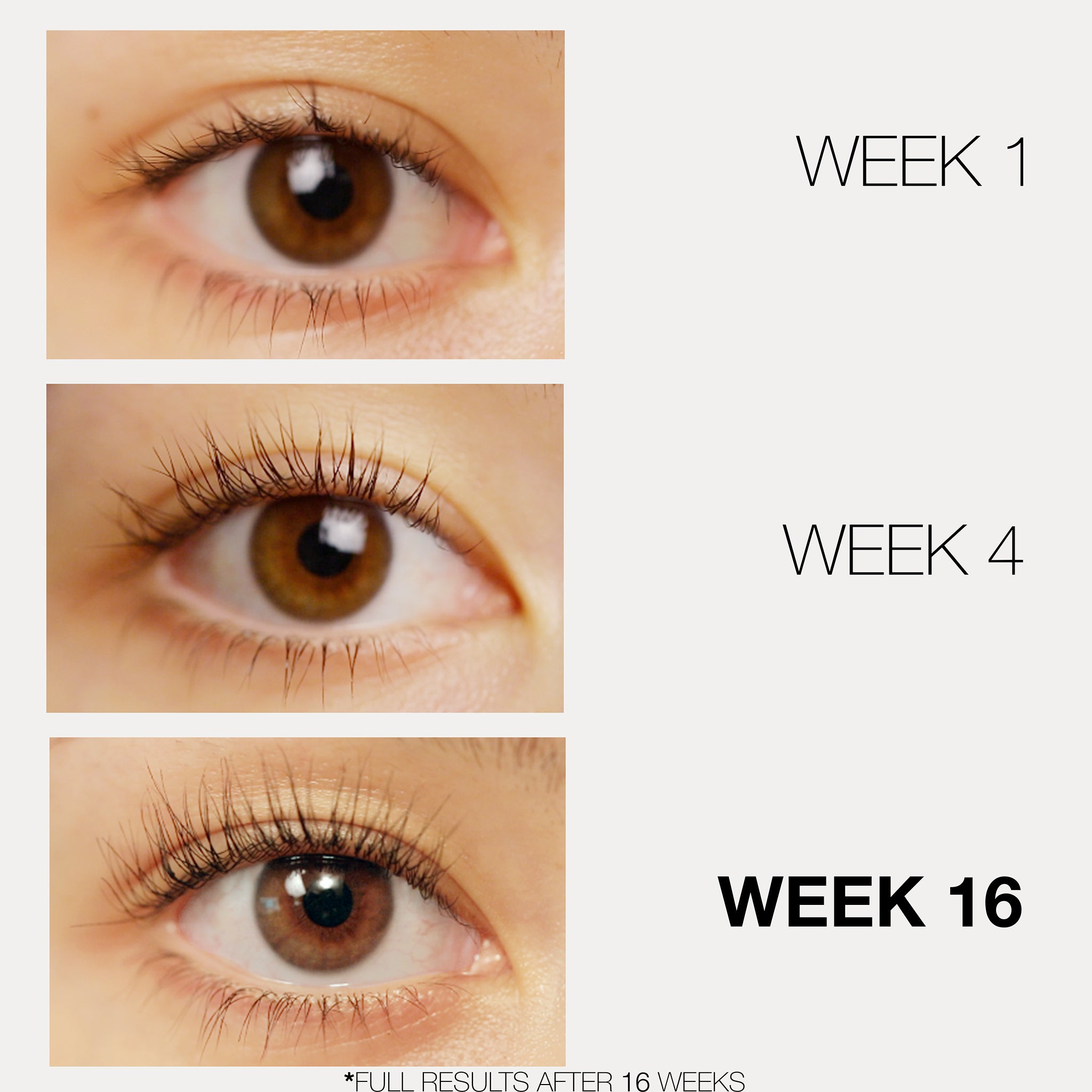 Lash & Brow Treats Duo