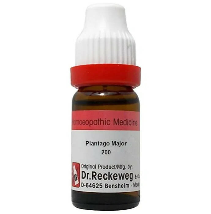 Dr. Reckeweg Plantago Major Dilution