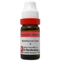 Dr. Reckeweg Sambucus Can Dilution
