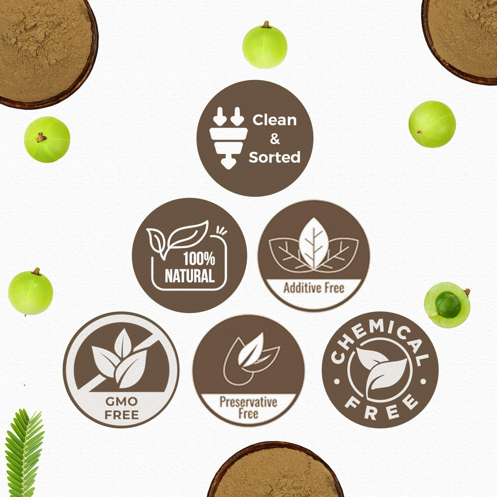 Carmel Organics Amla Fruit Powder