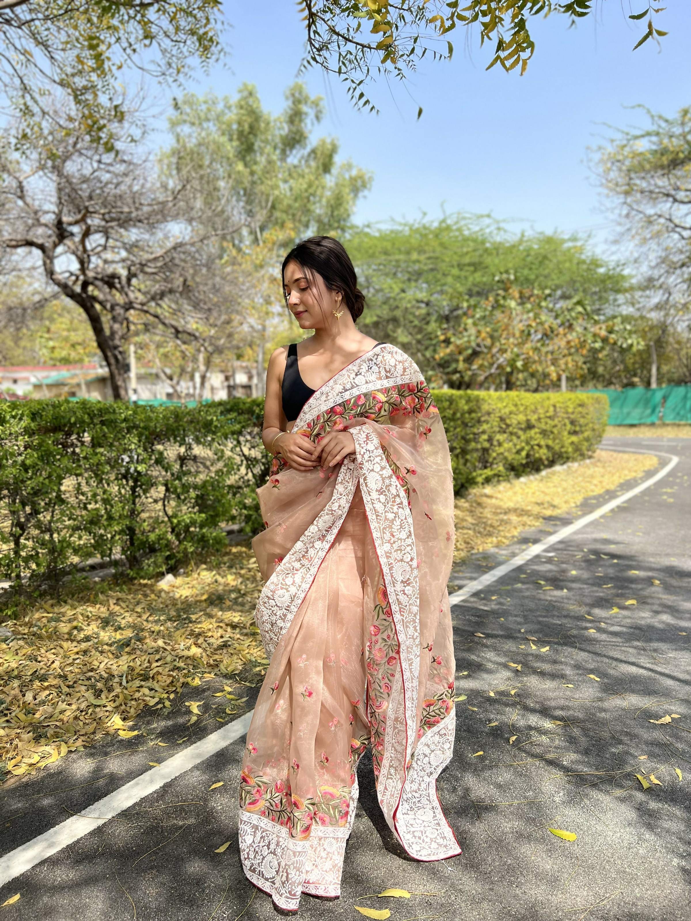 Vamsee Riddhi-Siddhi -1 Brown Organza Saree