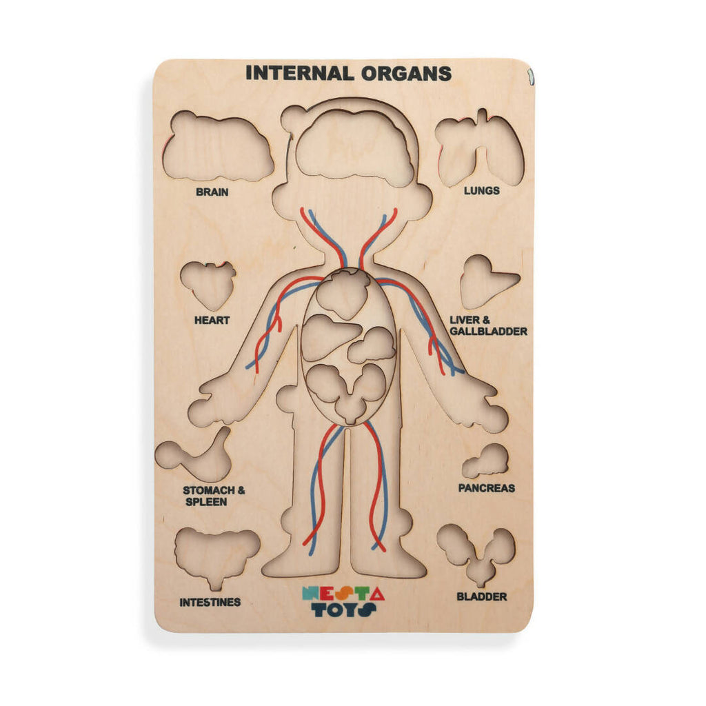 Nesta Toys Human Body | Internal Organs Wooden Puzzle
