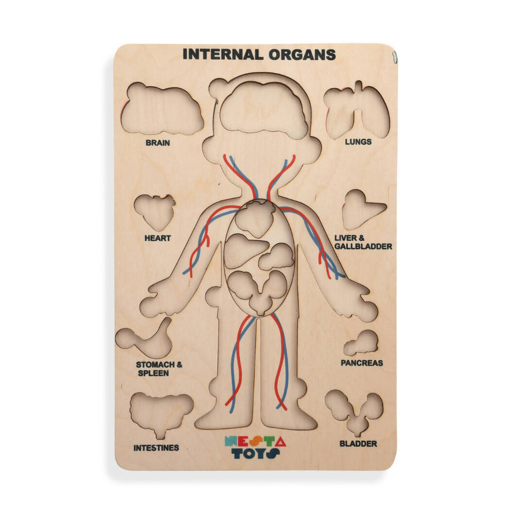 Nesta Toys Human Body | Internal Organs Wooden Puzzle