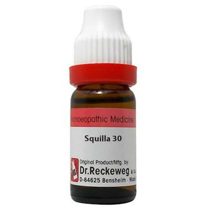 Dr. Reckeweg Squilla Maritima Dilution