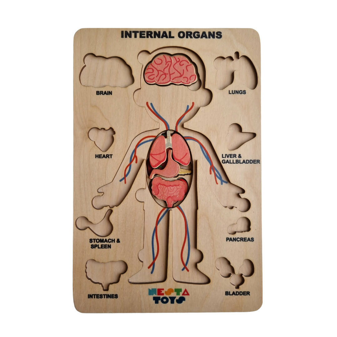 Nesta Toys Human Body | Internal Organs Wooden Puzzle