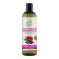 Petal Fresh Pure Color Protection Pomegranate & Acai Shampoo