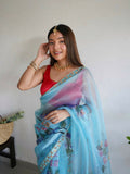 Vamsee Nilam Sky Organza Saree