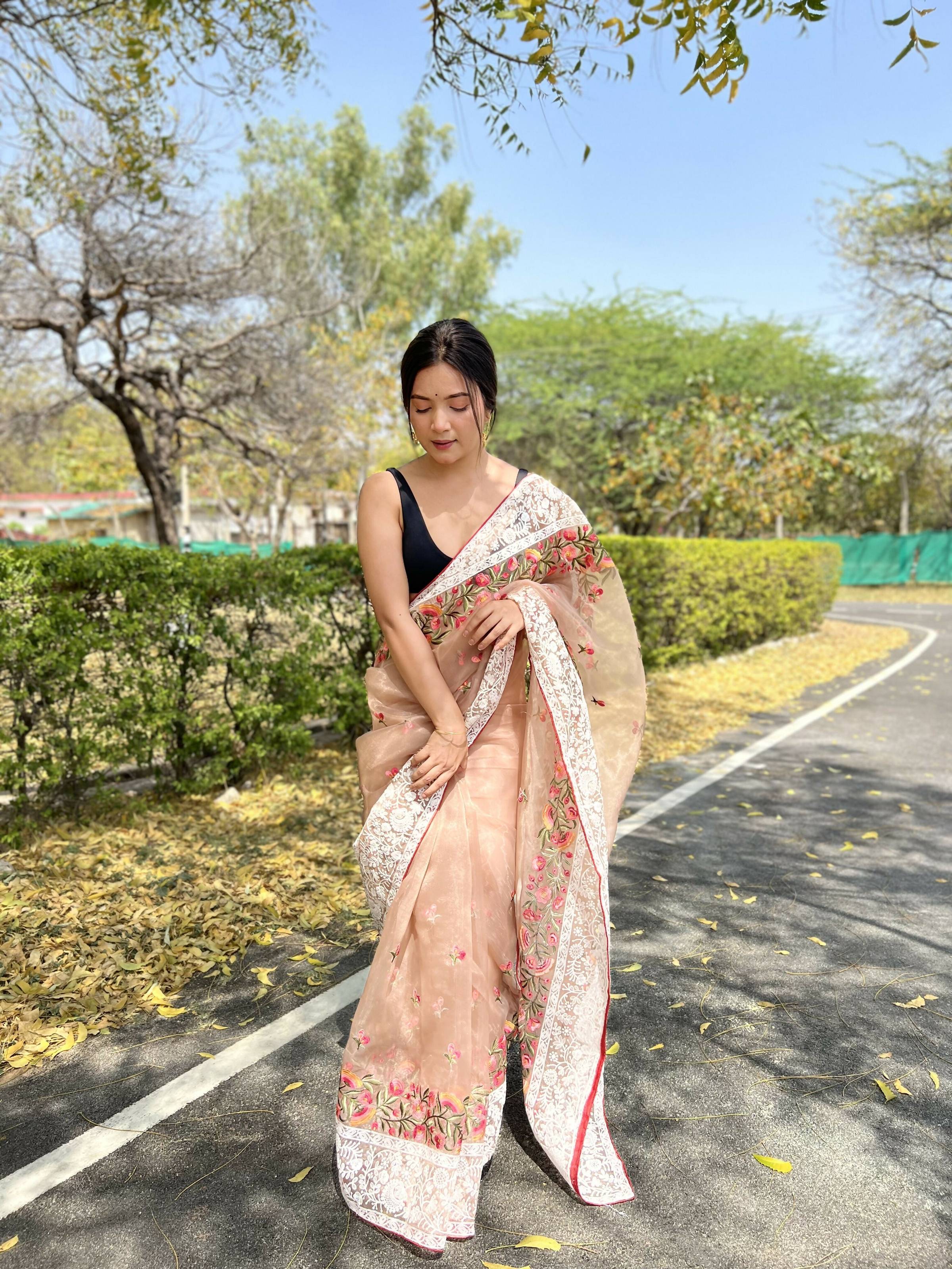 Vamsee Riddhi-Siddhi -1 Brown Organza Saree