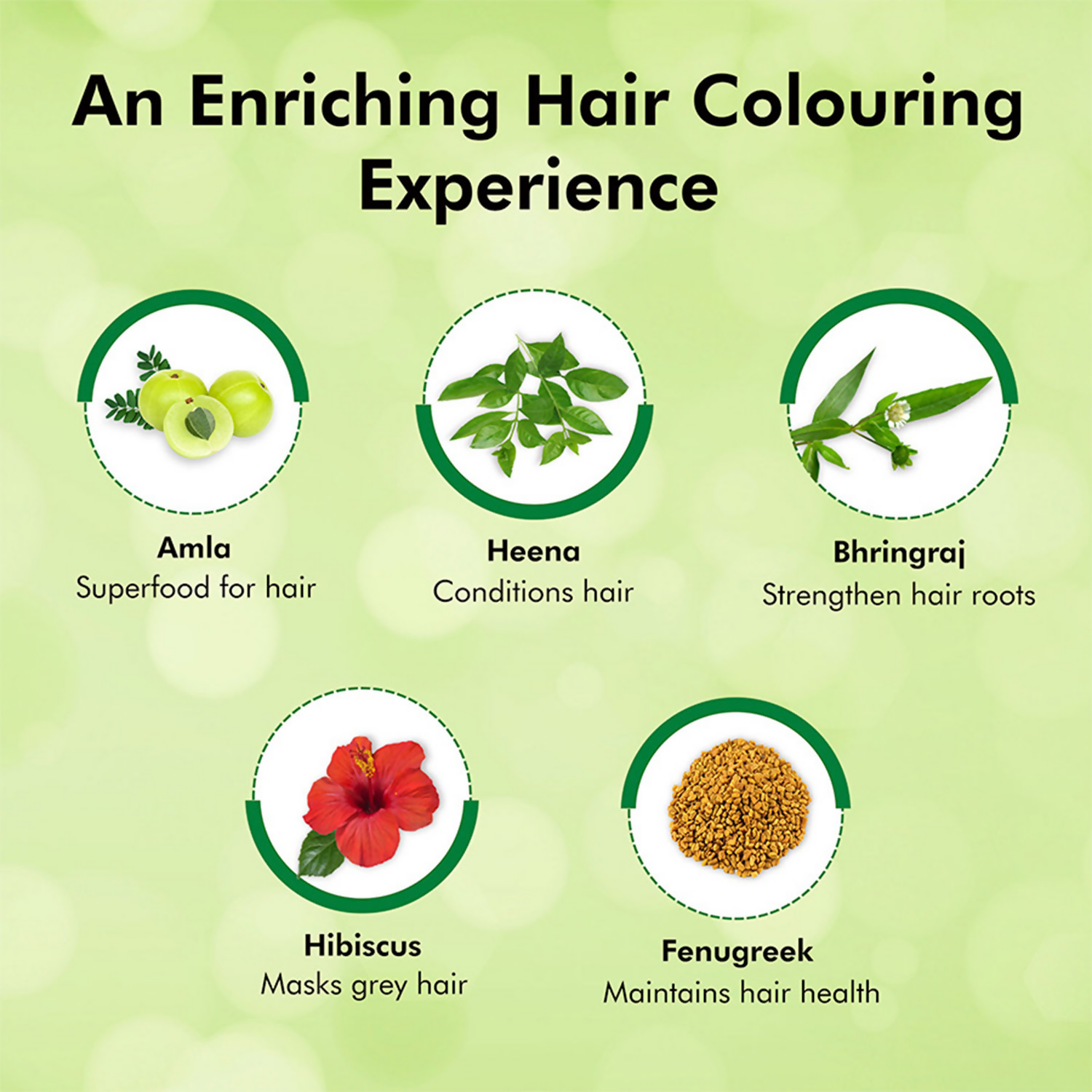 Indica Easy Hair Color Shampoo Burgundy