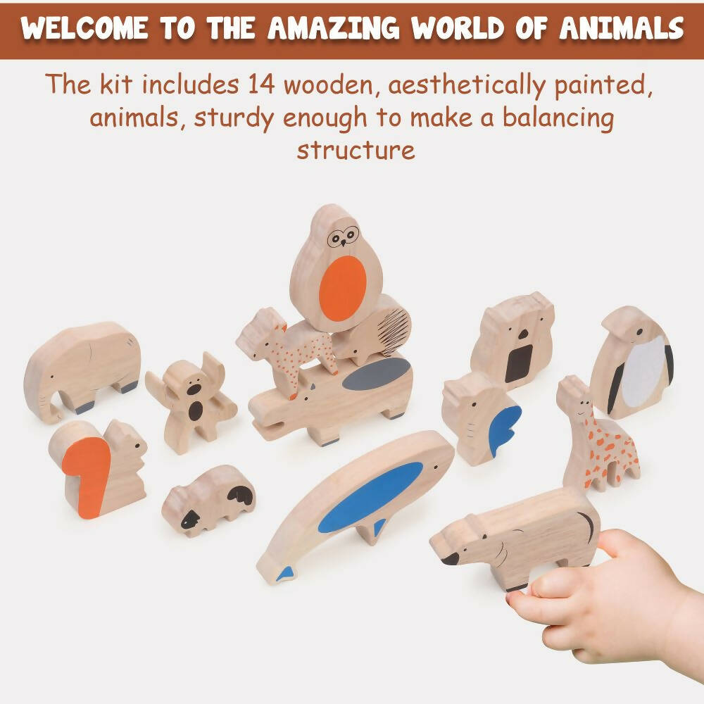 Matoyi Balancing Animals & Rainbow Stacker Combo