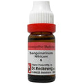 Dr. Reckeweg Sanguinarinum Nitricum Dilution