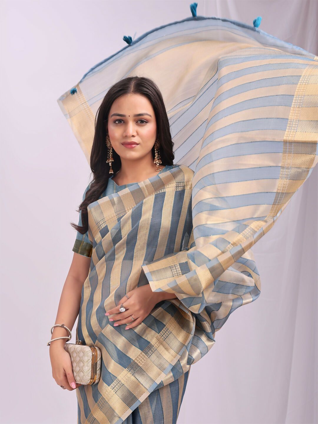 Shree Shyam Fashion Organza Sky Blue Saree