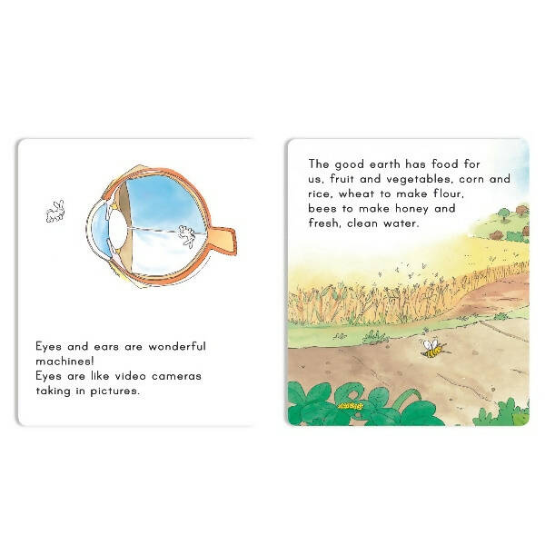 Jolly Scholars Physical Well Being Story Books Set of 8| Promote Physical Health Activity Books Ages 3-6 Years